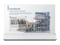 LG Electronics-55EW5PG-S