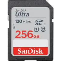 Western Digital-SDSDUN4-256G-AN6IN