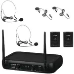 PYLE PDWM2145