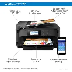 EPSON-C11CG36201