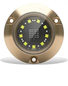 Lumishore 010-04503-00 - ECLIPSE SMX24 Surface Mount White LED