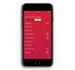 APPCESSORI CORP-SE-LTC5R-S