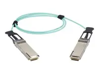 BLACK BOX CORPORATION-QSFP-H40G-AOC10M-BB