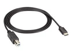 BLACK BOX CORPORATION-USBC2TYPEB-1M