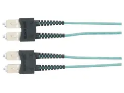BLACK BOX CORPORATION-EFNT010-010M-SCSC