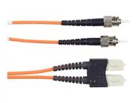 BLACK BOX CORPORATION-EFN110-010M-STSC