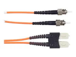 BLACK BOX CORPORATION-EFN110-010M-STSC