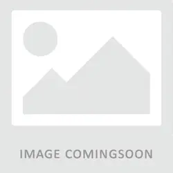 AXIOM-AX42666N19F/4G