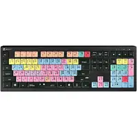 ERGOGUYS-LKB-PT-A2M-US