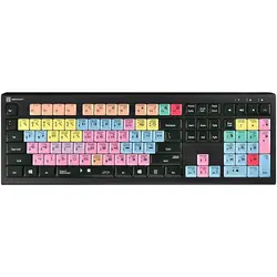ERGOGUYS-LKB-PT-A2M-US