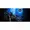 QN98QN990FFXZA