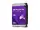 WD241PURP-20PK