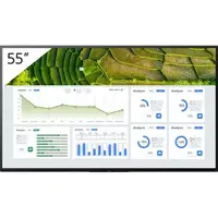 SONY-FW55BZ30L