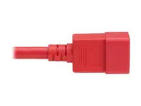 Tripp Lite-P035-006-ARD