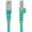 NLAQ-2F-CAT6A-PATCH