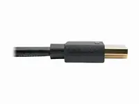 Tripp Lite-P569-010-SLIM