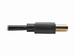 Tripp Lite-P569-010-SLIM