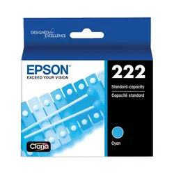 EPSON-EPST222220-S