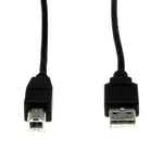 ROCSTOR Y10C116-B1