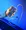 MT-8200-61-TNR