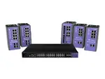 Extreme Networks ISW-24W-4X
