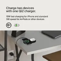 Belkin-WIZ021TTBK