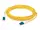 MMC-50-SCLC-M