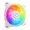 MFL-B2DW-21NP2-R2