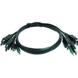 SMARTAVI-CC2DPMMKVM06