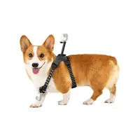 Insta360-CINSBAVW-01