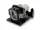 DT02081-BTI