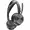 PL-213726-01
