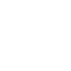 Garmin-010-10193-22