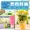 BTAG335