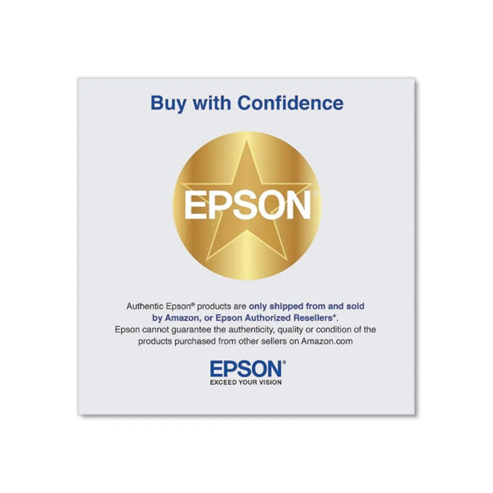 EPSON-EPST41P320