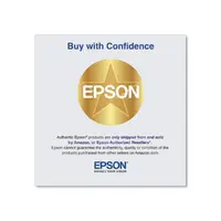 EPSON-EPST41P320