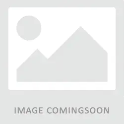 RICOH / Fujitsu-RIC415010
