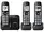 PANKXTGD613B