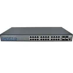 AMG Systems-AMG510-22G-2C-2S