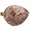 SPC741D8-2L2T/BCM