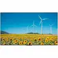 Hisense-43DP30FE