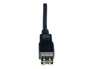 Tripplite U024-010 - Tripp Lite, USB 2.0 Hi-Speed Extension Cable, A M/F, 10FT