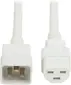 TRIPP LITE-P037-006-AWH