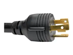 Eaton TrippLite Series Connectivity-P046-010-LL-30A