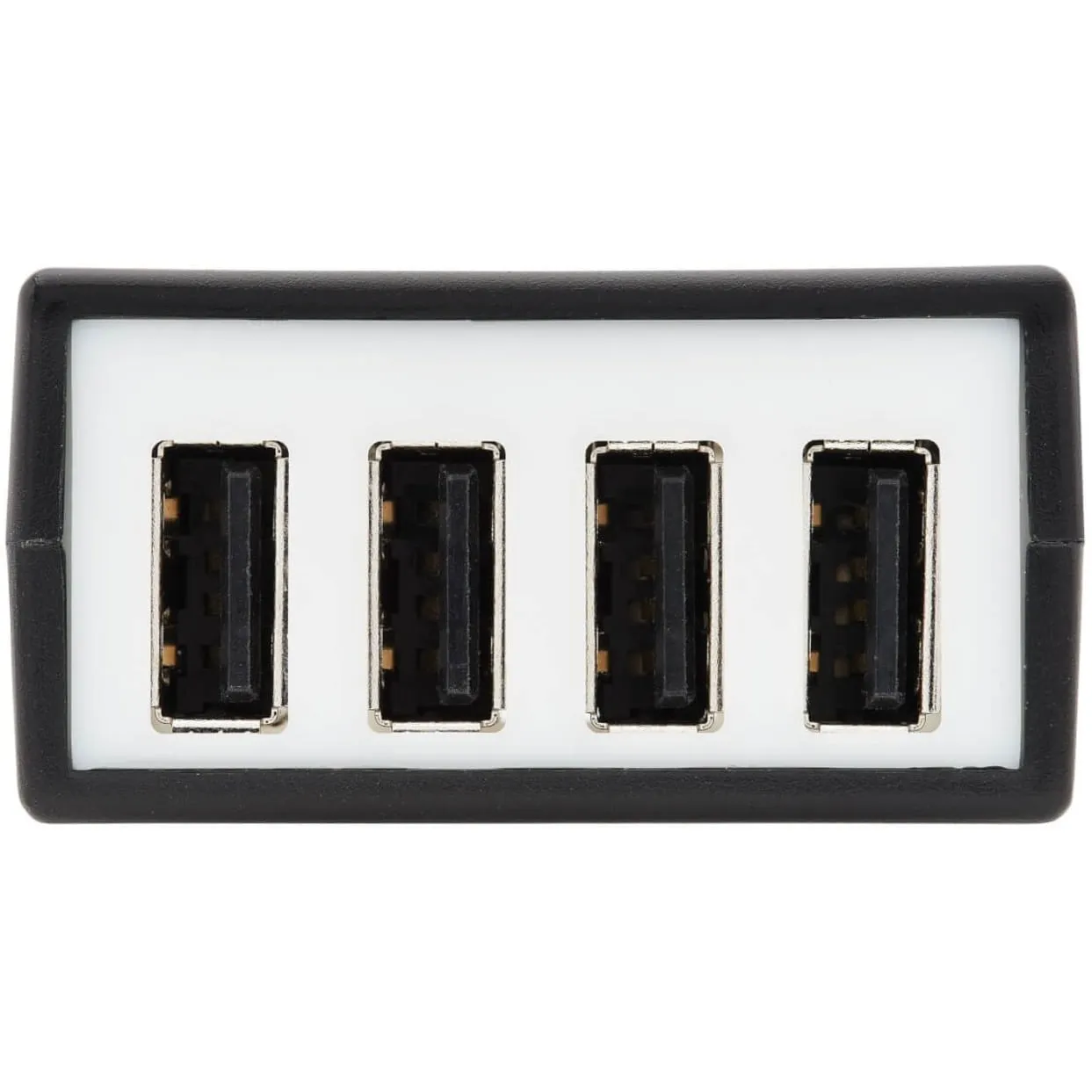 Eaton TrippLite Series Connectivity-B203104POC