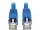N261P-050-BL