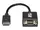 P134-06N-VGA-BP