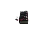 BATTERY TECHNOLOGY-SLA25-BTI