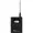 EW-DX SK (R1-9)