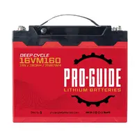 ProGuide Batteries-16VM160